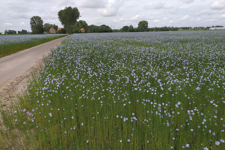Thuis voelen in Vakantiewoning Ter Ast